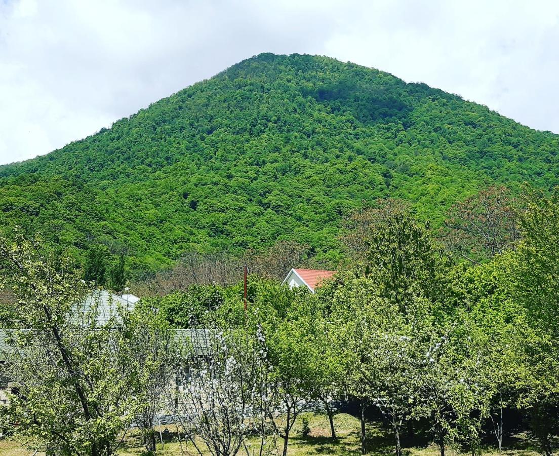 Gabala Sweet Home Luaran gambar