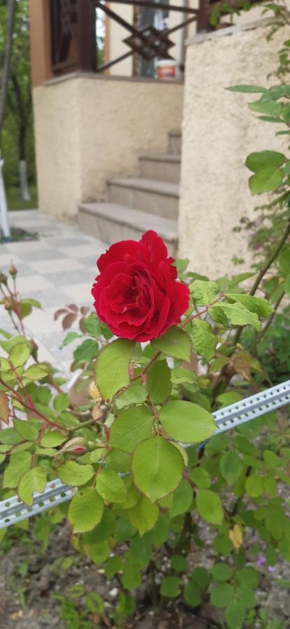 Gabala Sweet Home Luaran gambar